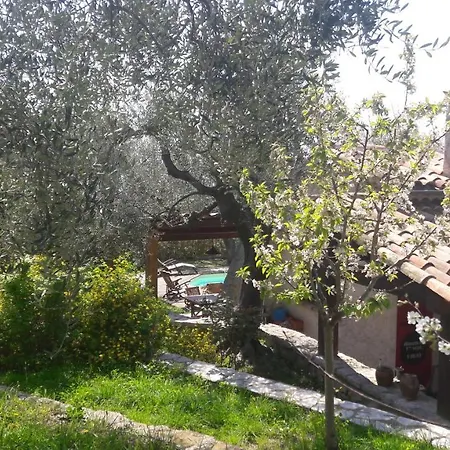 Maison De Vacances Avec Piscine Berre-les-Alpes Exterior photo