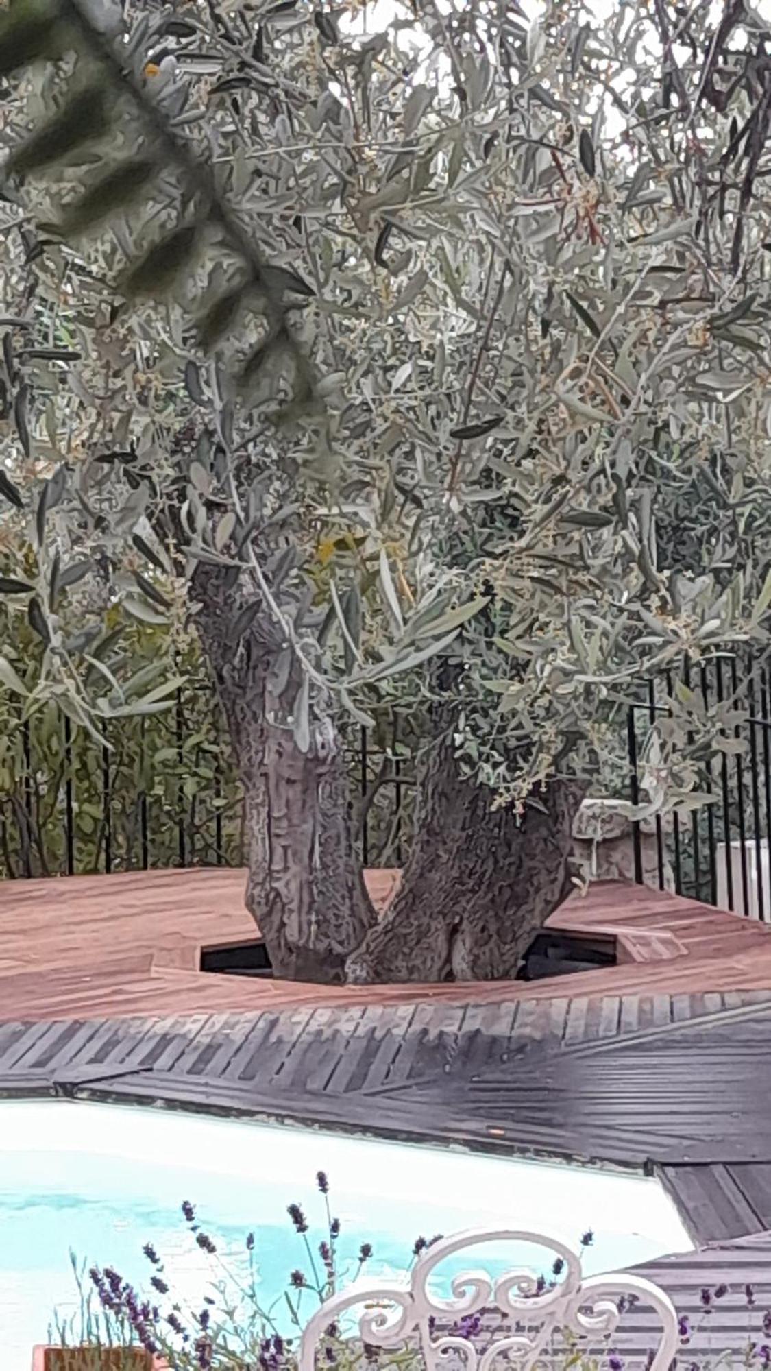 Hébergement de vacances Maison De Avec Piscine